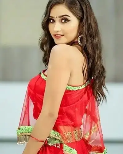 Escort In Parappanangadi